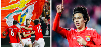 Pedro Marques: The four pillars of Benfica's Academy