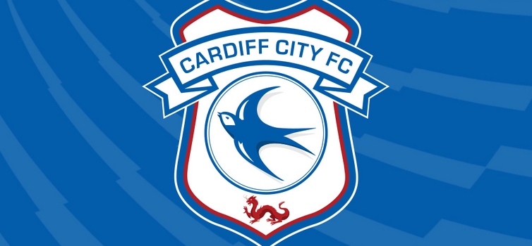 Cardiff City EPL Team 2013  English Premier League Team