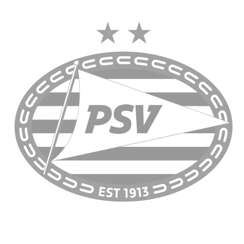 psv_logo.jpg
