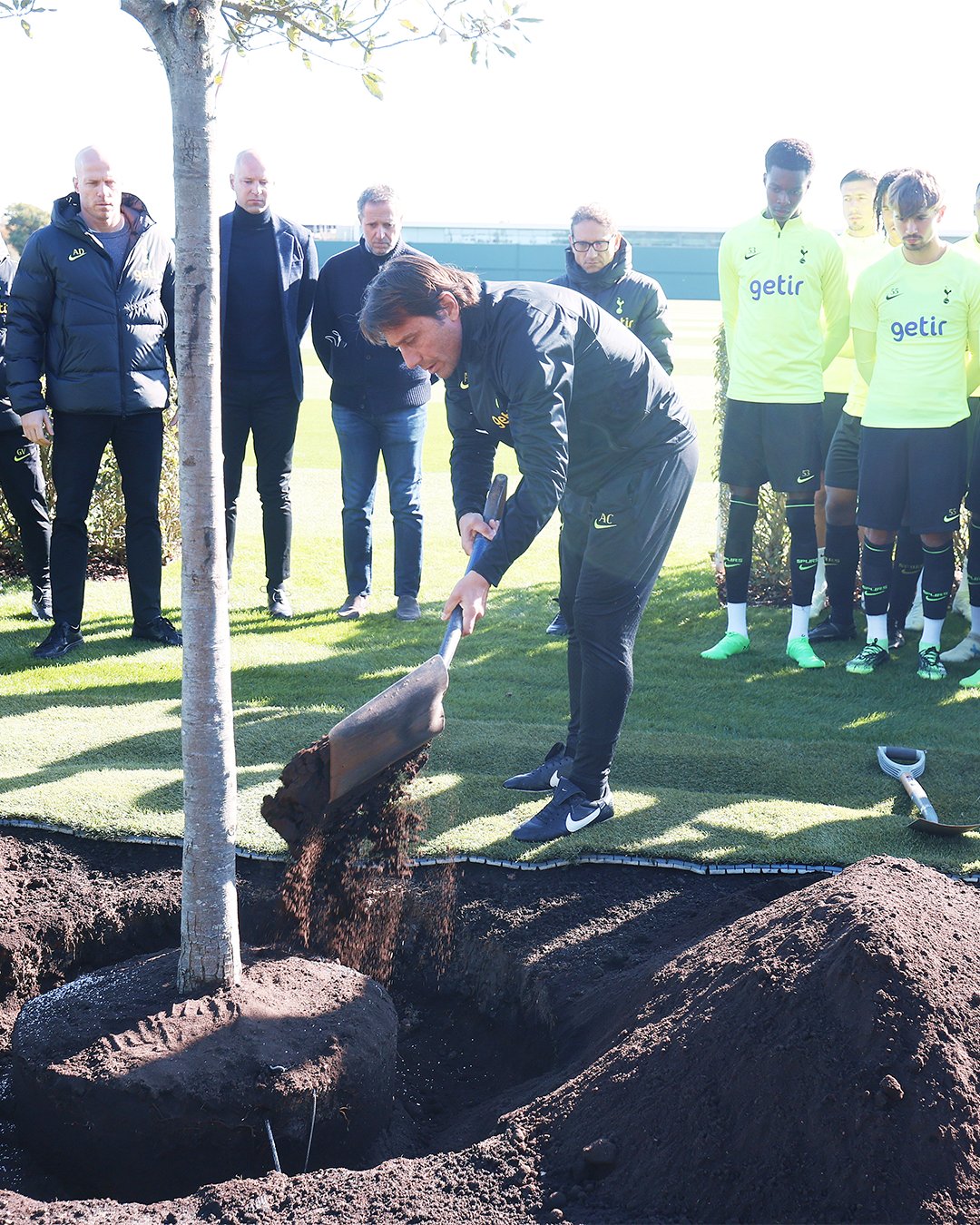 Conte helped to plant the oak tree at a ceremony at Tottenham's training ground in October