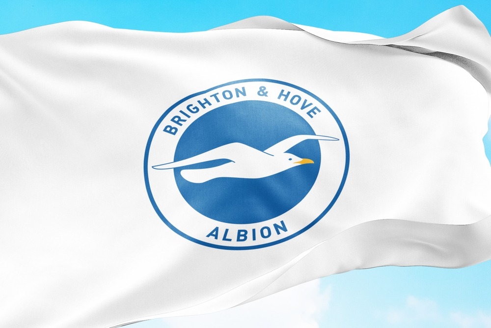 Brighton make trio of senior scouts redundant