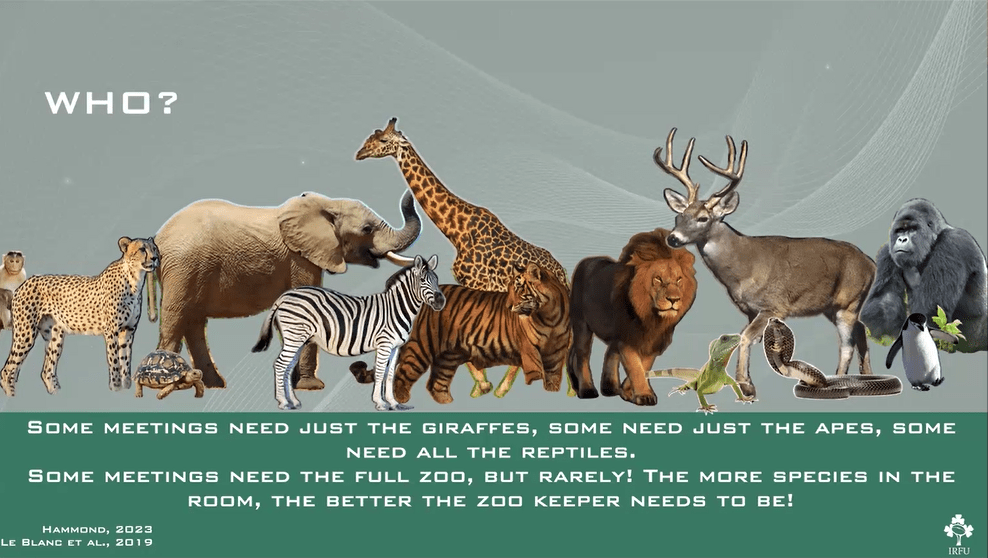 Graphic picturing zoo animals and text